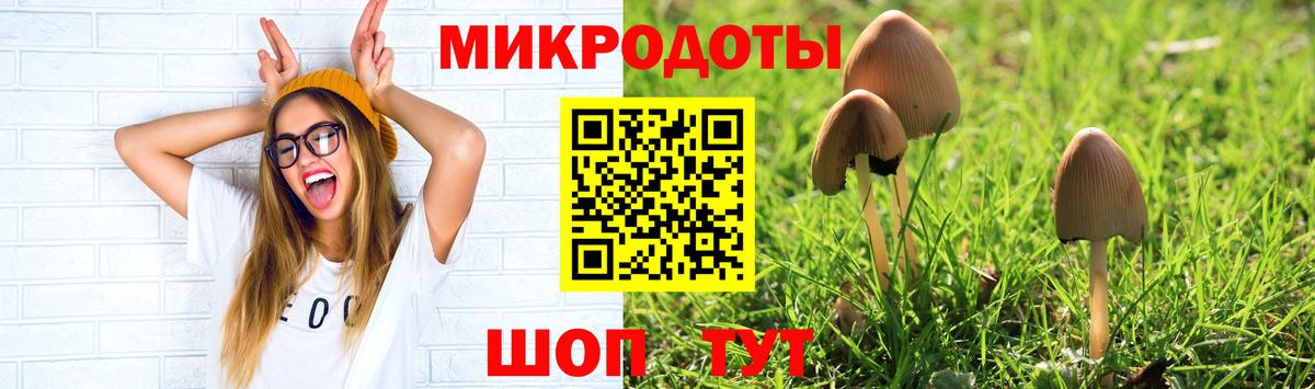 даркнет сайт  Вход с VPN  Курчатов  Псилоцибиновые грибы прущие грибы 